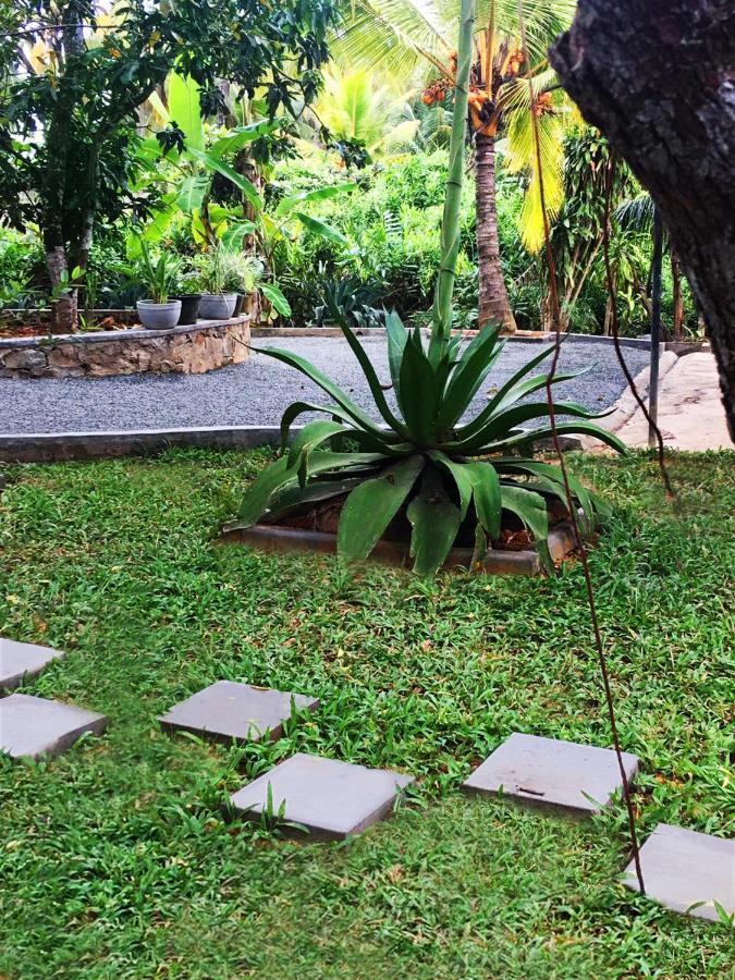 Triple Edge Villa أونا واتونا المظهر الخارجي الصورة